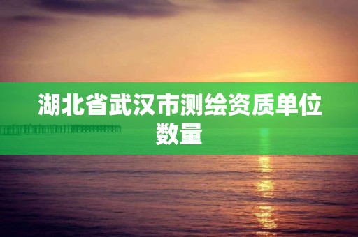 湖北省武漢市測繪資質單位數量