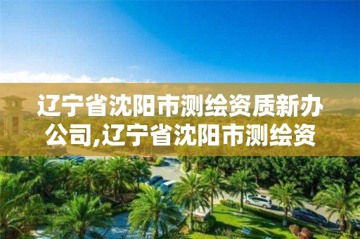 遼寧省沈陽市測繪資質新辦公司,遼寧省沈陽市測繪資質新辦公司有哪些