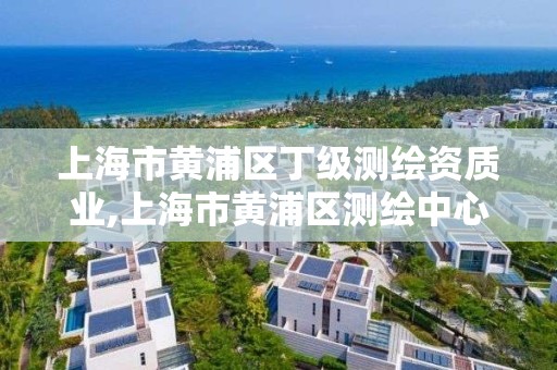 上海市黃浦區丁級測繪資質業,上海市黃浦區測繪中心