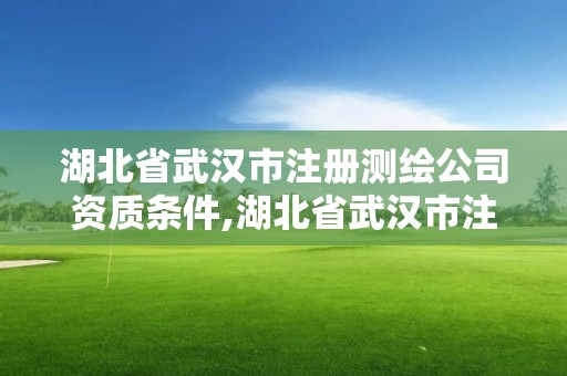 湖北省武漢市注冊測繪公司資質條件,湖北省武漢市注冊測繪公司資質條件有哪些