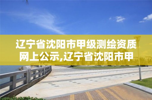 遼寧省沈陽市甲級測繪資質網上公示,遼寧省沈陽市甲級測繪資質網上公示