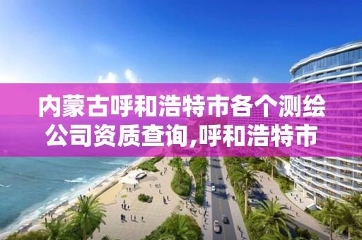 內蒙古呼和浩特市各個測繪公司資質查詢,呼和浩特市測量招聘