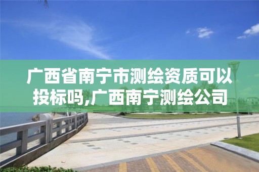 廣西省南寧市測繪資質可以投標嗎,廣西南寧測繪公司排名