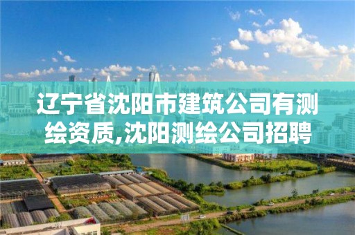 遼寧省沈陽市建筑公司有測繪資質,沈陽測繪公司招聘信息最新招聘