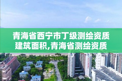 青海省西寧市丁級測繪資質建筑面積,青海省測繪資質延期公告