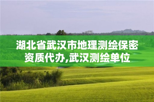 湖北省武漢市地理測繪保密資質(zhì)代辦,武漢測繪單位