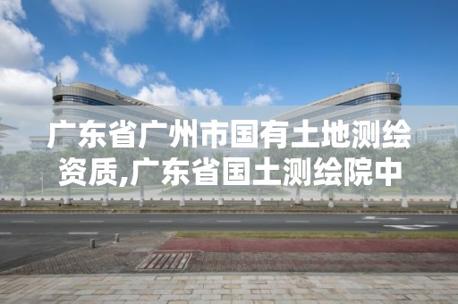 廣東省廣州市國有土地測繪資質,廣東省國土測繪院中標工程