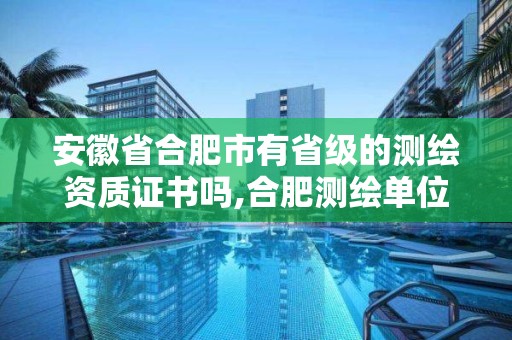 安徽省合肥市有省級的測繪資質證書嗎,合肥測繪單位。