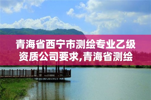 青海省西寧市測繪專業乙級資質公司要求,青海省測繪資質延期公告