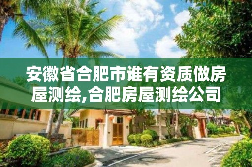 安徽省合肥市誰有資質做房屋測繪,合肥房屋測繪公司。