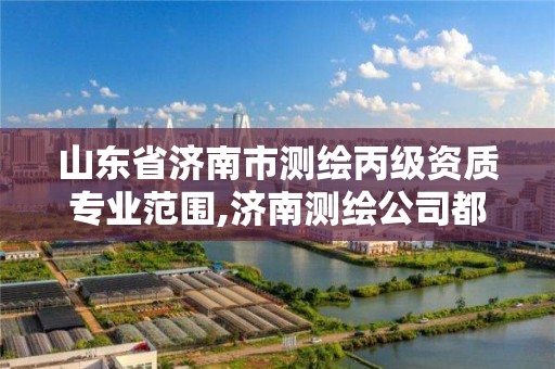 山東省濟南市測繪丙級資質專業范圍,濟南測繪公司都有哪些