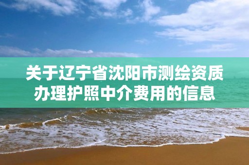 關于遼寧省沈陽市測繪資質辦理護照中介費用的信息