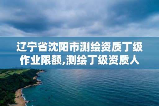 遼寧省沈陽市測(cè)繪資質(zhì)丁級(jí)作業(yè)限額,測(cè)繪丁級(jí)資質(zhì)人員條件