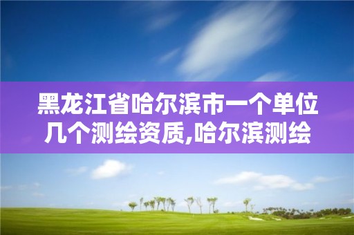 黑龍江省哈爾濱市一個(gè)單位幾個(gè)測(cè)繪資質(zhì),哈爾濱測(cè)繪局招聘臨時(shí)工。