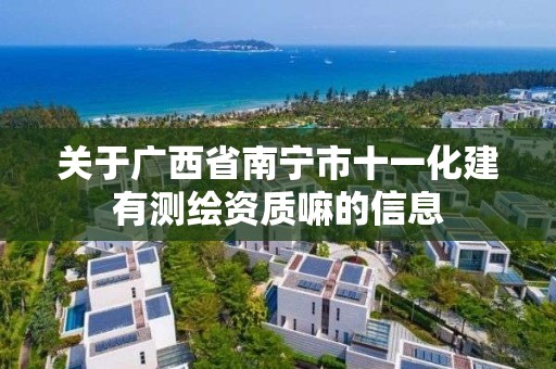 關于廣西省南寧市十一化建有測繪資質嘛的信息