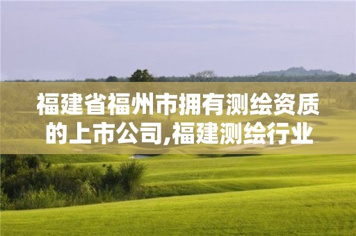 福建省福州市擁有測繪資質的上市公司,福建測繪行業哪個待遇最好。