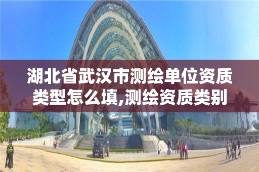 湖北省武漢市測繪單位資質類型怎么填,測繪資質類別是什么