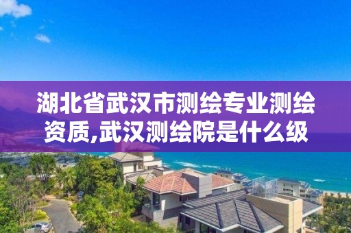 湖北省武漢市測繪專業測繪資質,武漢測繪院是什么級別