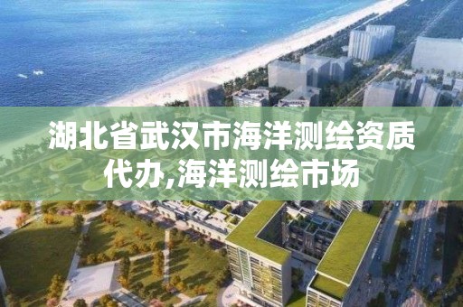 湖北省武漢市海洋測繪資質代辦,海洋測繪市場