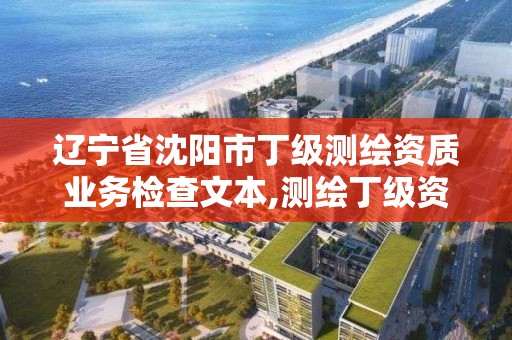 遼寧省沈陽市丁級測繪資質業務檢查文本,測繪丁級資質申報條件