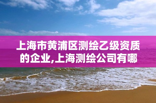 上海市黃浦區測繪乙級資質的企業,上海測繪公司有哪幾家