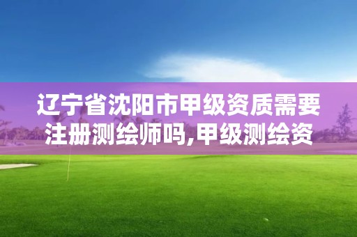 遼寧省沈陽市甲級資質需要注冊測繪師嗎,甲級測繪資質需要多少人。