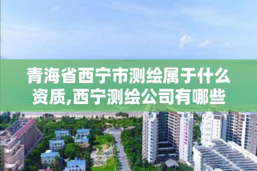 青海省西寧市測繪屬于什么資質,西寧測繪公司有哪些