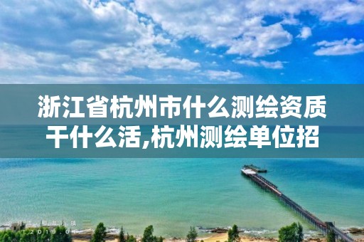 浙江省杭州市什么測繪資質干什么活,杭州測繪單位招聘。