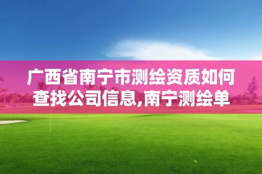 廣西省南寧市測繪資質如何查找公司信息,南寧測繪單位。