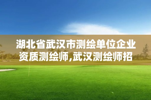 湖北省武漢市測繪單位企業資質測繪師,武漢測繪師招聘