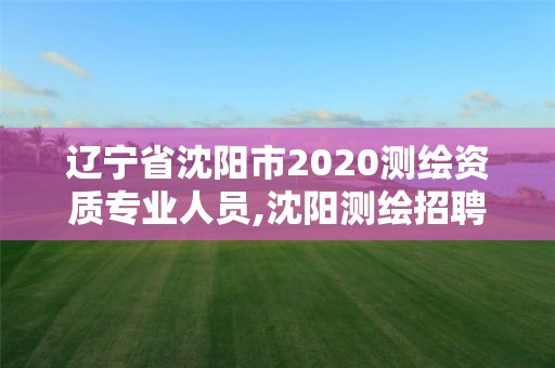 遼寧省沈陽市2020測繪資質專業人員,沈陽測繪招聘信息