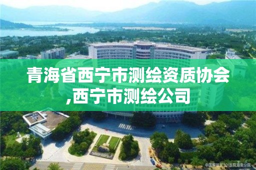 青海省西寧市測繪資質協會,西寧市測繪公司