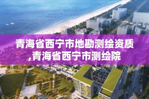 青海省西寧市地勘測繪資質(zhì),青海省西寧市測繪院