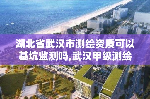 湖北省武漢市測繪資質可以基坑監測嗎,武漢甲級測繪資質名錄