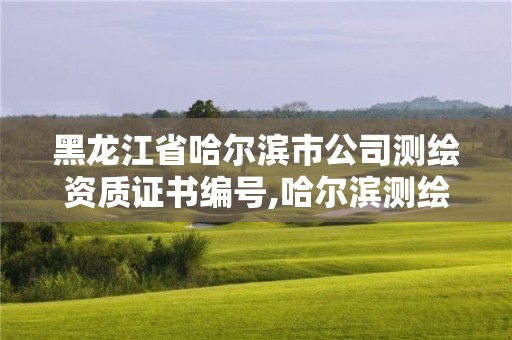 黑龍江省哈爾濱市公司測繪資質證書編號,哈爾濱測繪局幼兒園是民辦還是公辦。