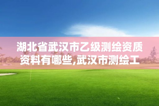 湖北省武漢市乙級測繪資質資料有哪些,武漢市測繪工程技術規定