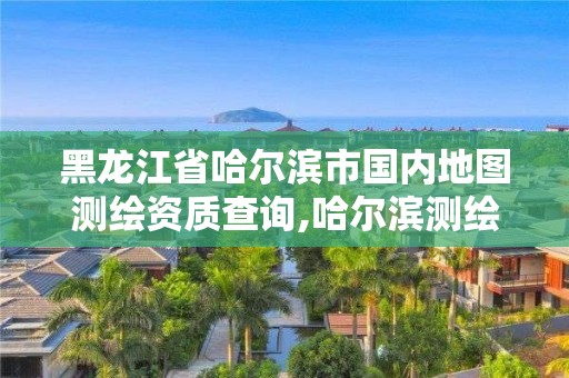 黑龍江省哈爾濱市國(guó)內(nèi)地圖測(cè)繪資質(zhì)查詢,哈爾濱測(cè)繪公司招聘。