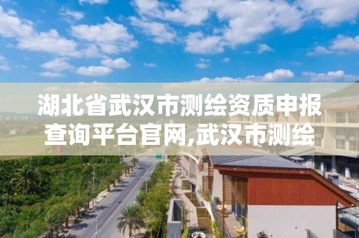 湖北省武漢市測繪資質申報查詢平臺官網,武漢市測繪管理條例。