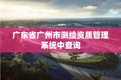 廣東省廣州市測繪資質管理系統中查詢