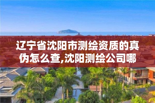 遼寧省沈陽市測繪資質(zhì)的真?zhèn)卧趺床?沈陽測繪公司哪家強哪家好