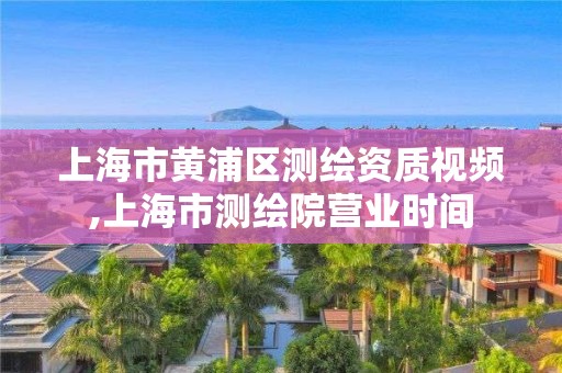 上海市黃浦區(qū)測繪資質(zhì)視頻,上海市測繪院營業(yè)時間