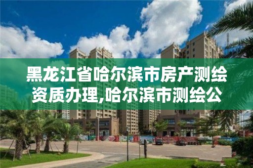 黑龍江省哈爾濱市房產測繪資質辦理,哈爾濱市測繪公司