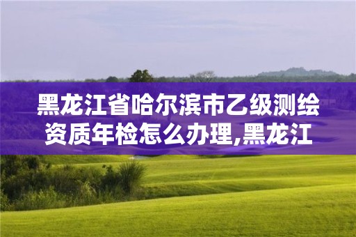 黑龍江省哈爾濱市乙級(jí)測(cè)繪資質(zhì)年檢怎么辦理,黑龍江測(cè)繪公司乙級(jí)資質(zhì)。