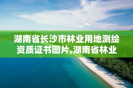 湖南省長沙市林業(yè)用地測繪資質(zhì)證書圖片,湖南省林業(yè)勘測院。