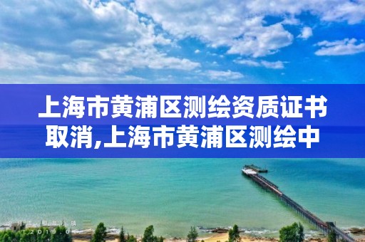 上海市黃浦區測繪資質證書取消,上海市黃浦區測繪中心