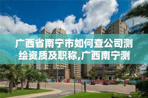 廣西省南寧市如何查公司測繪資質及職稱,廣西南寧測繪公司排名。