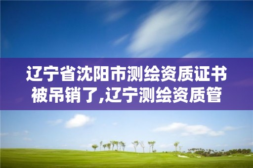 遼寧省沈陽市測繪資質證書被吊銷了,遼寧測繪資質管理系統登錄。