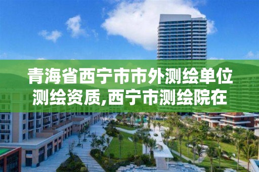 青海省西寧市市外測繪單位測繪資質(zhì),西寧市測繪院在哪里