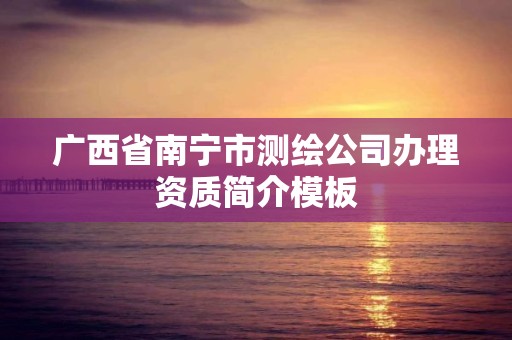 廣西省南寧市測繪公司辦理資質簡介模板