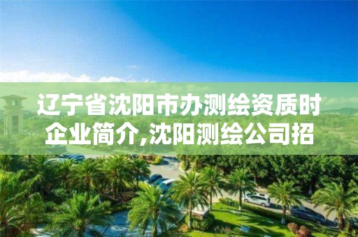 遼寧省沈陽市辦測繪資質時企業簡介,沈陽測繪公司招聘。